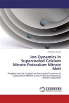 Prabhakar Singh - Ion Dynamics in Supercooled Calcium Nitrate-Potassium Nitrate Melt