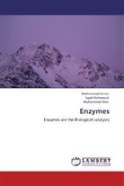 Muhamma Imran, Muhammad Imran, Muhammad Irfan, Saji Mehmood, Sajid Mehmood - Enzymes