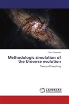 Filarit Teregulov - Methodologic simulation of the Universe evolution