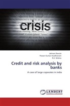 Pawan Kuma Avadhanam, Pawan Kumar Avadhanam, R K Mishra, R. K. Mishra, Jahnav Ravula, Jahnavi Ravula - Credit and risk analysis by banks