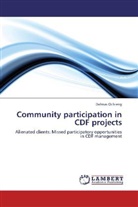 Dalmas Ochieng - Community participation in CDF projects