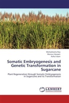 Monzu Hossain, Monzur Hossain, Rafiul Islam, Mohashwet Roy, Mohashweta Roy - Somatic Embryogenesis and Genetic Transformation in Sugarcane