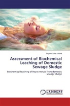Lugard Luke Ukiwe - Assessment of Biochemical Leaching of Domestic Sewage Sludge