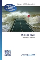 Edward R. Miller-Jones, Edwar R Miller-Jones - The sea level