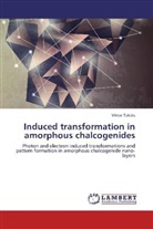 Viktor Takáts - Induced transformation in amorphous chalcogenides