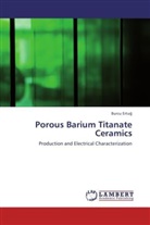 Burcu Ertu¿, Burcu Ertug - Porous Barium Titanate Ceramics