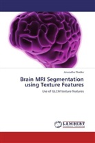 Anuradha Phadke - Brain MRI Segmentation using Texture Features