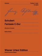 Franz Schubert, Pau Badura-Skoda, Paul Badura-Skoda - Fantasie C-Dur