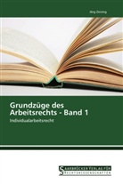 Jörg Zeising - Grundzüge des Arbeitsrechts - Band 1