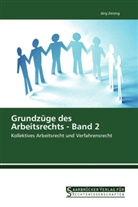Jörg Zeising - Grundzüge des Arbeitsrechts - Band 2