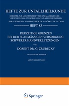 Gottlieb Zrubecky - Derzeitige Grenzen bei der Planmässigen Versorgung Schwerer Handverletzungen