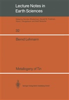 Bernd Lehmann - Metallogeny of Tin