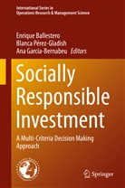 Enrique Ballestero, Ana Garcia-Bernabeu, Blanc Pérez-Gladish, Blanca Pérez-Gladish - Socially Responsible Investment