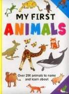 Armadillo, Jan Lewis, Jan Lewis - My First Animals
