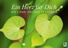 Calvendo, Kircher - Ein Herz für Dich: Wo Liebe wächst ist Leben (Posterbuch DIN A4 quer)