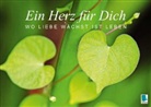 Calvendo, Kircher - Ein Herz für Dich: Wo Liebe wächst ist Leben (Posterbuch DIN A3 quer)