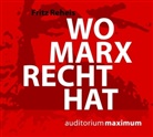 Fritz Reheis, Martin Falk - Wo Marx Recht hat, Audio-CD (Audio book)