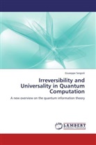 Giuseppe Sergioli - Irreversibility and Universality in Quantum Computation