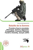 Dismas Reinald Apostolis - Bataille de la Somme