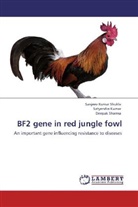 Satyendr Kumar, Satyendra Kumar, Dee Sharma, Deepak Sharma, Sanjeev Kuma Shukla, Sanjeev Kumar Shukla - BF2 gene in red jungle fowl