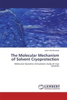 Jestin Mandumpal - The Molecular Mechanism of Solvent Cryoprotection