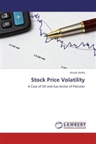 shoaib shafiq - Stock Price Volatility