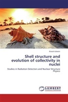 Ritesh Kshetri - Shell structure and evolution of collectivity in nuclei
