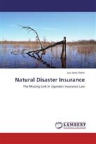 Lou Jarvis Owen - Natural Disaster Insurance