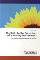 Luc Lavrysen - The Right to the Protection of a Healthy Environment