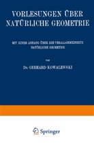 Ernesto Cesàro - Vorlesungen über Natürliche Geometrie