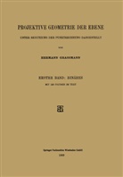 Hermann Grassmann - Projektive Geometrie der Ebene Unter Benutzung der Punktrechnung Dargestellt
