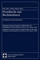 Peter Gilles, Thomas Pfeiffer - Prozeßrecht und Rechtskulturen