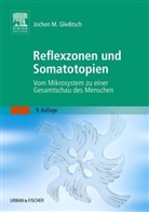 Jochen M Gleditsch, Jochen M. Gleditsch - Reflexzonen und Somatotopien