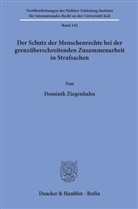 Peter Gröschler, Dominik Ziegenhahn - Der Schutz der Menschenrechte bei der grenzüberschreitenden Zusammenarbeit in Strafsachen.