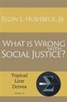 Elgin L. Hushbeck, Jr. Elgin L Hushbeck, Jr. Elgin L. Hushbeck - What is Wrong with Social Justice