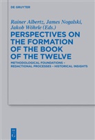 Rainer Albertz, Jame D Nogalski, James D Nogalski, James D. Nogalski, Jakob Wöhrle - Perspectives on the Formation of the Book of the Twelve