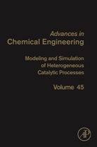 Anthony G. Dixon, Anthony Dixon, Anthony G. Dixon - Modeling and Simulation of Heterogeneous Catalytic Processes