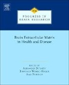 Alexander Dityatev - Brain Extracellular Matrix in Health and Disease