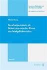 Michael Verde, Michel Verde - Straftatbestände als Schutznormen im Sinne des Haftpflichtrechts
