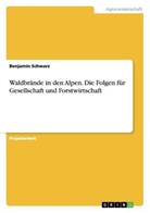 Benjamin Schwarz - Waldbrände in den Alpen. Die Folgen für Gesellschaft und Forstwirtschaft