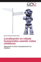 Baruch Demian Gaxiola Valles - Localización en robots humanoides usando vistas sintéticas