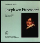 Volkmar Stein, Marius Schlesiona - Joseph von Eichendorff - Ein Lebensbild