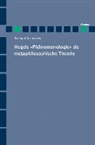 Brendan Theunissen - Hegels "Phänomenologie" als metaphilosophische Theorie