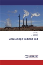 K M Pandey, K. M. Pandey, Muku Ray, Mukul Ray, Dipa Sen, Dipak Sen - Circulating Fluidized Bed
