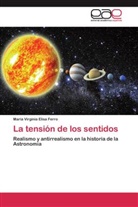 María Virginia Elisa Ferro - La tensión de los sentidos