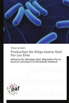 Thibaut de Sablet, De sablet-t - Production de shiga toxine stx2