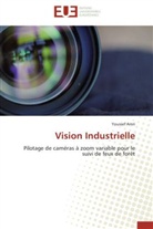 Youssef Amri, Amri-y - Vision industrielle
