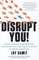 Jay Samit - Disrupt Yourself