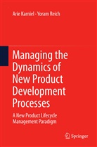 Ari Karniel, Arie Karniel, Yoram Reich - Managing the Dynamics of New Product Development Processes