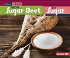 Lisa Owings - From Sugar Beet to Sugar